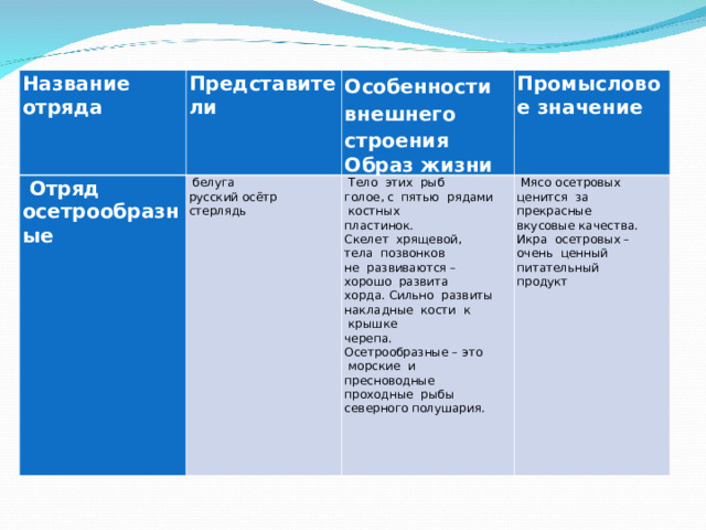 Осетрообразные Название отряда Представители  Отряд осетрообразные Особенности внешнего строения Образ жизни   белуга русский осётр стерлядь                 Промысловое значение   Тело  этих  рыб   голое, с  пятью  рядами  костных   пластинок.   Скелет  хрящевой,   тела  позвонков   не  развиваются – хорошо  развита   хорда. Сильно  развиты   накладные  кости  к  крышке   черепа.   Осетрообразные – это  морские  и   пресноводные   проходные  рыбы   северного полушария.                                                                                                             Мясо осетровых   ценится  за   прекрасные   вкусовые качества. Икра  осетровых – очень  ценный   питательный   продукт