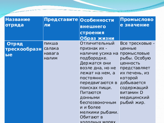 Осетрообразные Название отряда Представители  Отряд трескообразные Особенности внешнего строения Образ жизни пикша салака навага налим Промысловое значение Отличительный признак их - наличие усика на подбородке. Держатся они возле дна, но не лежат на нем, а постоянно передвигаются в поисках пищи. Питаются донными беспозвоночными и более мелкими рыбами. Обитают в холодных морях. Все тресковые - ценные промысловые рыбы. Особую ценность представляет их печень, из которой добывается содержащий витамин D медицинский рыбий жир.  