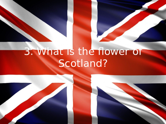 3. What is the flower of Scotland?