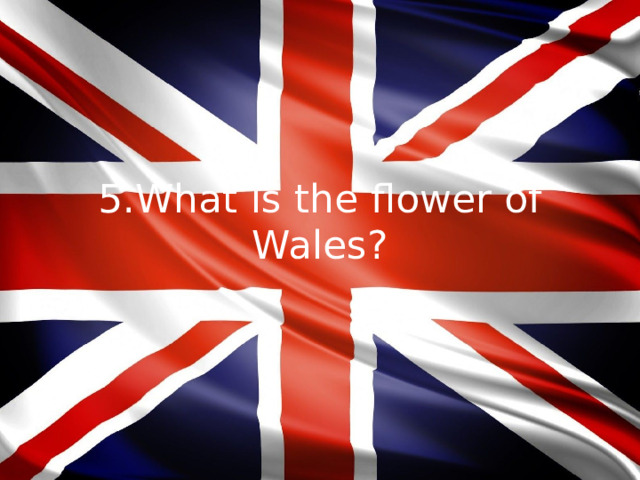 5.What is the flower of Wales?