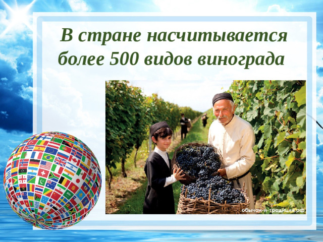 В стране насчитывается более 500 видов винограда