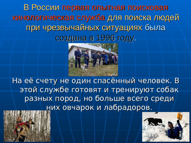 В России  первая опытная поисковая кинологическая служба  для поиска людей при чрезвычайных ситуациях была создана в 1996 году . На её счету не один спасённый человек. В этой службе готовят и тренируют собак разных пород, но больше всего среди них овчарок и лабрадоров.