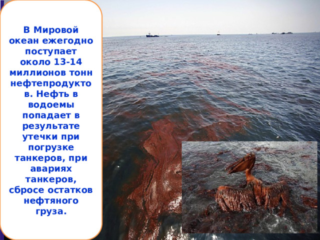 В Мировой океан ежегодно поступает около 13-14 миллионов тонн нефтепродуктов. Нефть в водоемы попадает в результате утечки при погрузке танкеров, при авариях танкеров, сбросе остатков нефтяного груза.