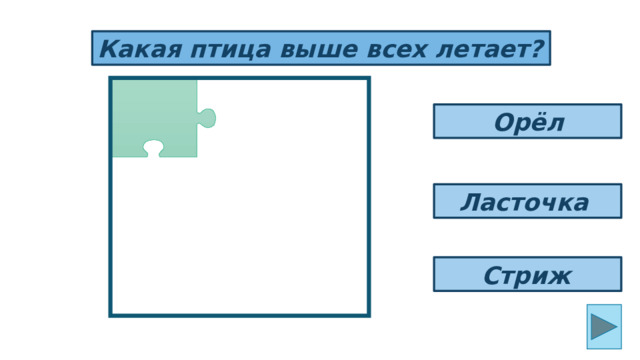 Какая птица выше всех летает? Орёл Ласточка Стриж