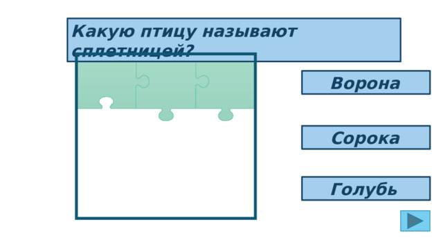 Какую птицу называют сплетницей? Ворона  Сорока  Голубь