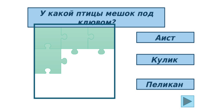 У какой птицы мешок под клювом? Аист  Кулик Пеликан