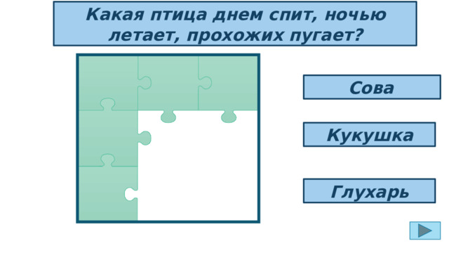 Какая птица днем спит, ночью летает, прохожих пугает? Сова  Кукушка Глухарь