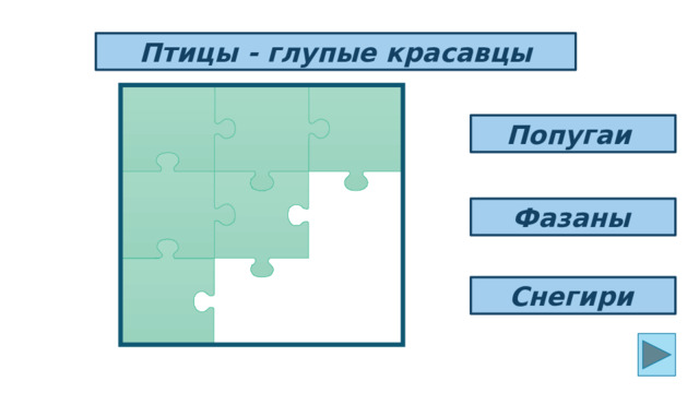 Птицы - глупые красавцы Попугаи Фазаны  Снегири