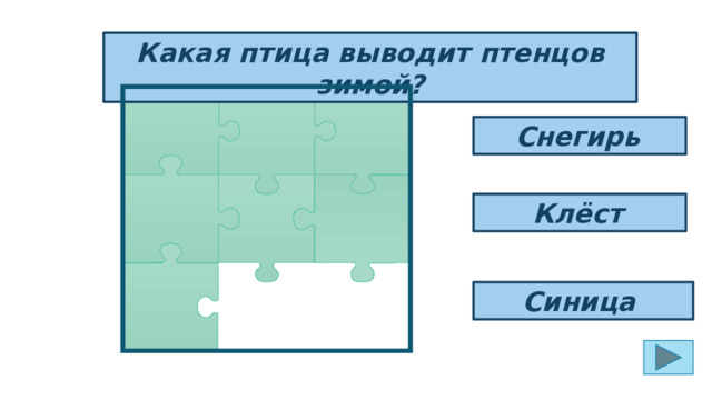 Какая птица выводит птенцов зимой? Снегирь  Клёст  Синица