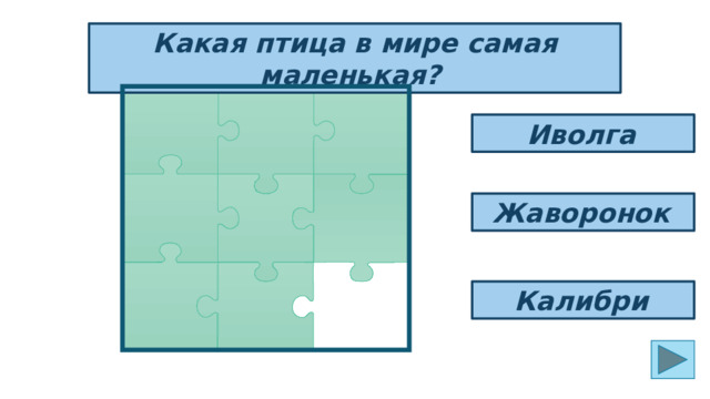 Какая птица в мире самая маленькая? Иволга  Жаворонок  Калибри