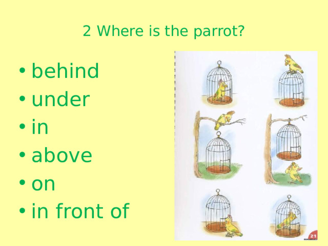 2 Where is the parrot?