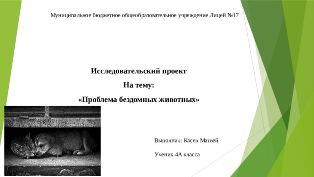 Муниципальное бюджетное общеобразовательное учреждение Лицей №17      Исследовательский проект  На тему:  «Проблема бездомных животных» Выполнил: Касев Матвей Ученик 4А класса