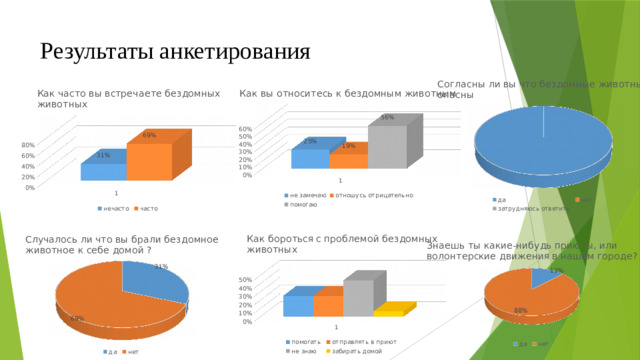 Результаты анкетирования