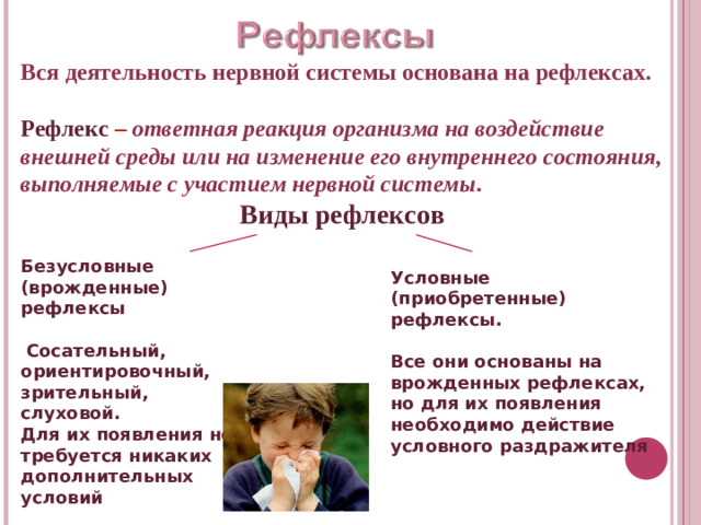 Вся деятельность нервной системы основана на рефлексах.  Рефлекс – ответная реакция организма на воздействие внешней среды или на изменение его внутреннего состояния, выполняемые с участием нервной системы . Виды  рефлексов Безусловные (врожденные) рефлексы   Сосательный, ориентировочный, зрительный, слуховой. Для их появления не требуется никаких дополнительных условий Условные (приобретенные) рефлексы. Все они основаны на врожденных рефлексах, но для их появления необходимо действие условного раздражителя