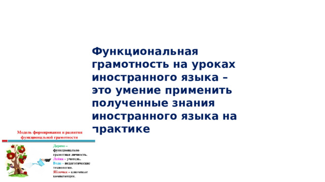 Функциональная грамотность на уроках иностранного языка – это умение применить полученные знания иностранного языка на практике