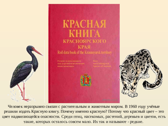 Человек неразрывно связан с растительным и животным миром. В 1960 году учёные решили издать Красную книгу. Почему именно красную? Потому что красный цвет – это цвет надвигающейся опасности. Среди птиц, насекомых, растений, деревьев и цветов, есть такие, которых осталось совсем мало. Их так и называют - редкие.