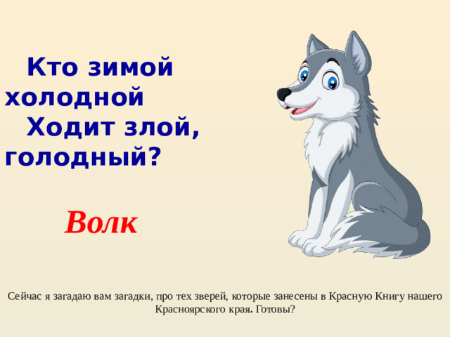 Кто зимой холодной Ходит злой, голодный? Волк Сейчас я загадаю вам загадки, про тех зверей, которые занесены в Красную Книгу нашего Красноярского края . Готовы?