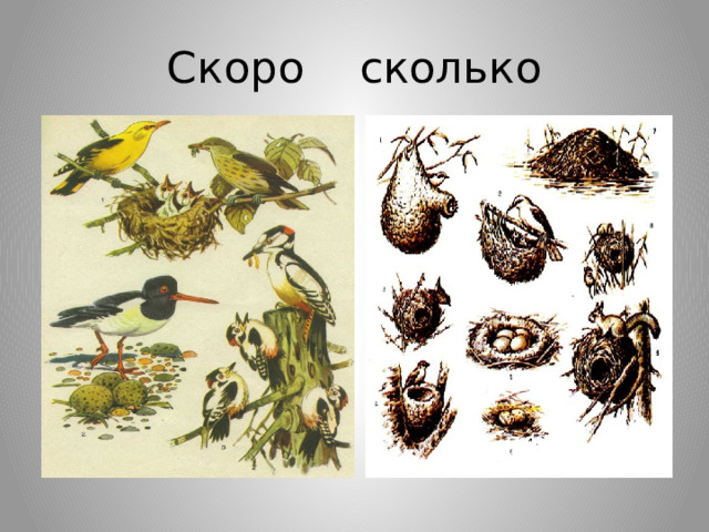 Скоро сколько