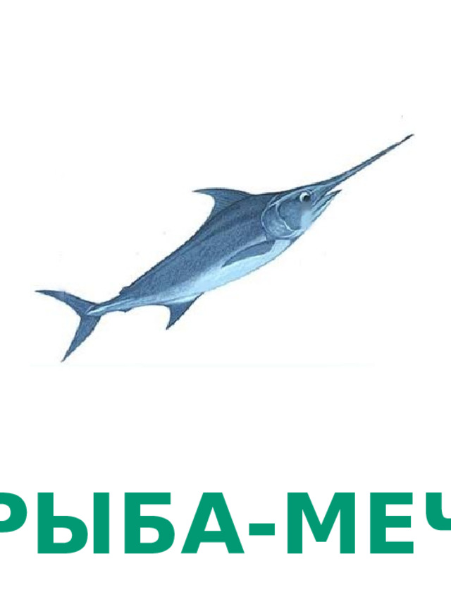 РЫБА-МЕЧ