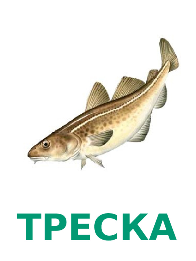 ТРЕСКА