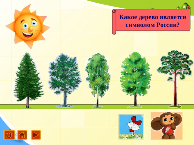 Какое дерево является символом России? Content Layouts