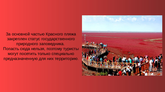 За основной частью Красного пляжа закреплен статус государственного природного заповедника.  Попасть сюда нельзя, поэтому туристы могут посетить только специально предназначенную для них территорию .