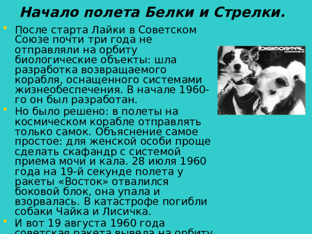 Начало полета Белки и Стрелки. После старта Лайки в Советском Союзе почти три года не отправляли на орбиту биологические объекты: шла разработка возвращаемого корабля, оснащенного системами жизнеобеспечения. В начале 1960-го он был разработан. Но было решено: в полеты на космическом корабле отправлять только самок. Объяснение самое простое: для женской особи проще сделать скафандр с системой приема мочи и кала. 28 июля 1960 года на 19-й секунде полета у ракеты «Восток» отвалился боковой блок, она упала и взорвалась. В катастрофе погибли собаки Чайка и Лисичка. И вот 19 августа 1960 года советская ракета вывела на орбиту корабль 