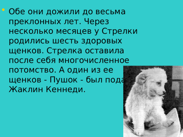 Обе они дожили до весьма преклонных лет. Через несколько месяцев у Стрелки родились шесть здоровых щенков. Стрелка оставила после себя многочисленное потомство. А один из ее щенков - Пушок - был подарен Жаклин Кеннеди.