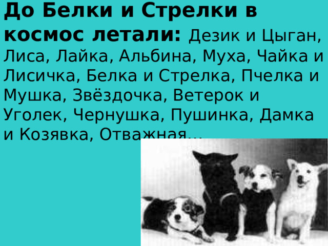 До Белки и Стрелки в космос летали:  Дезик и Цыган, Лиса, Лайка, Альбина, Муха, Чайка и Лисичка, Белка и Стрелка, Пчелка и Мушка, Звёздочка, Ветерок и Уголек, Чернушка, Пушинка, Дамка и Козявка, Отважная…