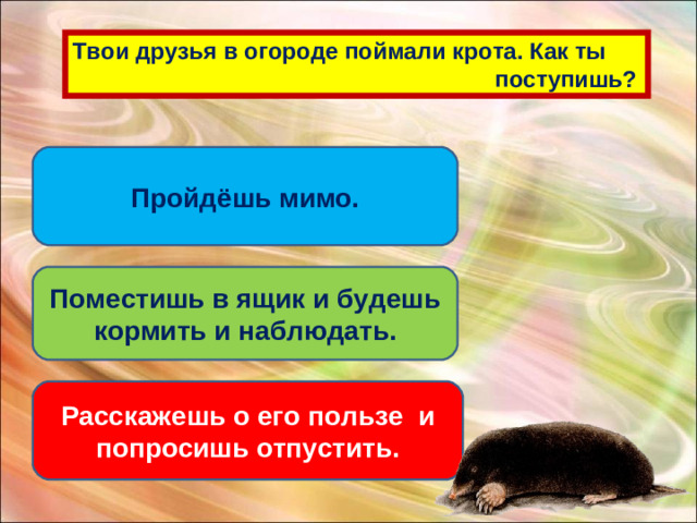 Твои друзья в огороде поймали крота. Как ты  поступишь? Пройдёшь мимо. Поместишь в ящик и будешь кормить и наблюдать. Расскажешь о его пользе и попросишь отпустить.