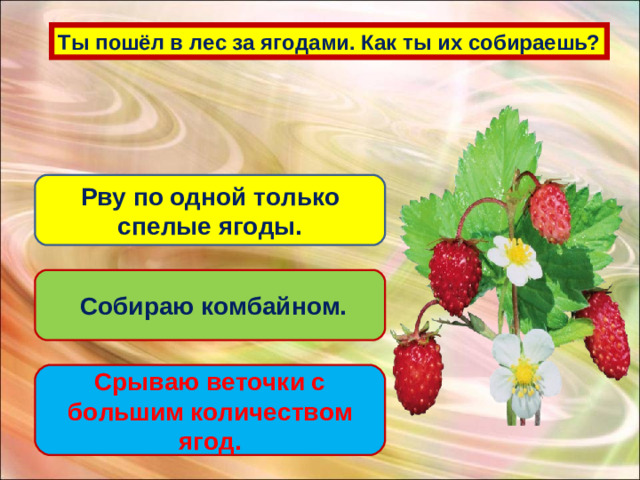 Ты пошёл в лес за ягодами. Как ты их собираешь? Рву по одной только спелые ягоды.  Собираю комбайном. Срываю веточки с большим количеством ягод.