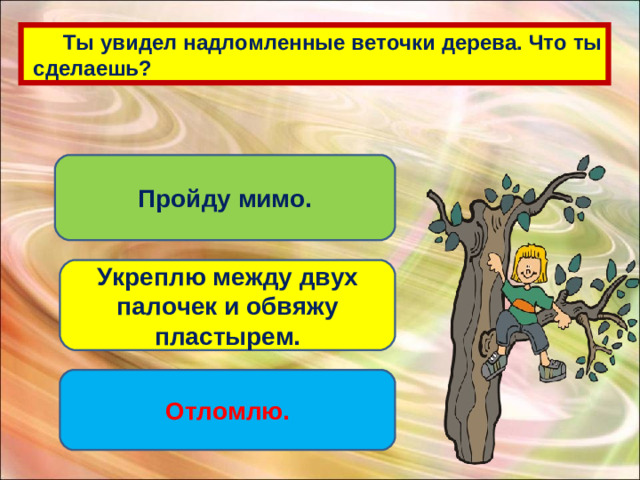 Ты увидел надломленные веточки дерева. Что ты  сделаешь? Пройду мимо. Укреплю между двух палочек и обвяжу пластырем. Отломлю.