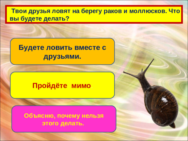 Твои друзья ловят на берегу раков и моллюсков. Что  вы будете делать? Будете ловить вместе с друзьями. Пройдёте мимо . Объясню, почему нельзя этого делать.