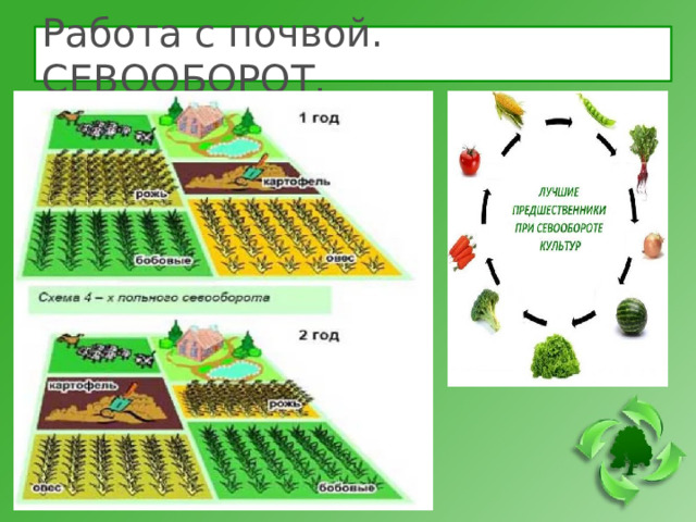 Работа с почвой. СЕВООБОРОТ.