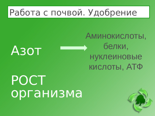 Работа с почвой. Удобрение Азот РОСТ организма Аминокислоты, белки, нуклеиновые кислоты, АТФ