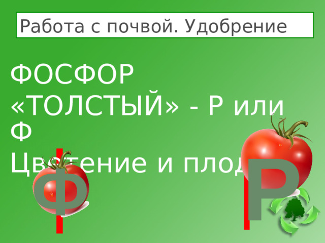 Работа с почвой. Удобрение ФОСФОР «ТОЛСТЫЙ» - Р или Ф Цветение и плоды Р Ф