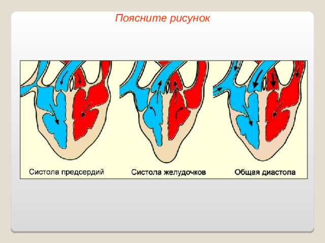 Поясните рисунок