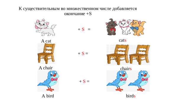 К существительным во множественном числе добавляется окончание +S + S = cat s A cat + S = A chair chair s + S = А bird bird s