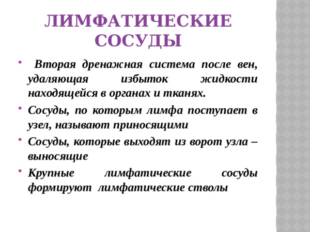 Лимфатические сосуды