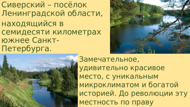 Сиверский – посёлок Ленинградской области, находящийся в семидесяти километрах южнее Санкт-Петербурга. Замечательное, удивительно красивое место, с уникальным микроклиматом и богатой историей. До революции эту местность по праву называли «Дачной столицей».