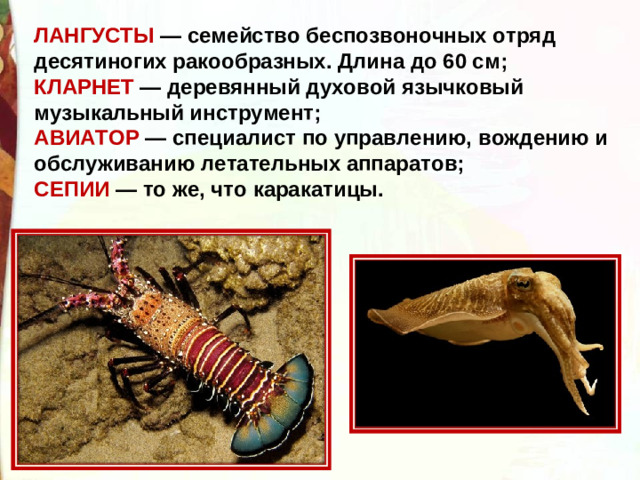 ЛАНГУСТЫ — семейство беспозвоночных отряд десятиногих ракообразных. Длина до 60 см; КЛАРНЕТ — деревянный духовой язычковый музыкальный инструмент; АВИАТОР — специалист по управлению, вождению и обслуживанию летательных аппаратов; СЕПИИ — то же, что каракатицы.