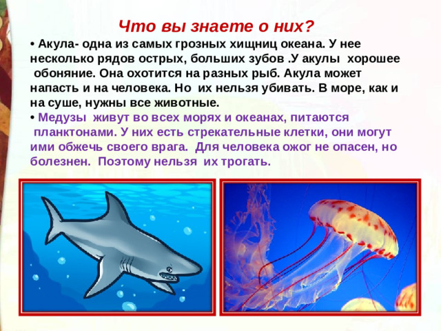 Что вы знаете о них?   •  Акула- одна из самых грозных хищниц океана. У нее несколько рядов острых, больших зубов .У акулы  хорошее  обоняние. Она охотится на разных рыб. Акула может напасть и на человека. Но  их нельзя убивать. В море, как и на суше, нужны все животные. •   Медузы  живут во всех морях и океанах, питаются  планктонами. У них есть стрекательные клетки, они могут ими обжечь своего врага.  Для человека ожог не опасен, но болезнен.  Поэтому нельзя  их трогать.