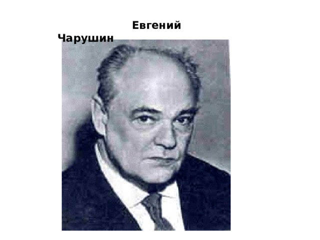 Евгений Чарушин