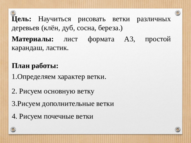 Цель: Научиться рисовать ветки различных деревьев (клён, дуб, сосна, береза.) Материалы: лист формата А3, простой карандаш, ластик. План работы: Определяем характер ветки. 2. Рисуем основную ветку 3.Рисуем дополнительные ветки 4. Рисуем почечные ветки