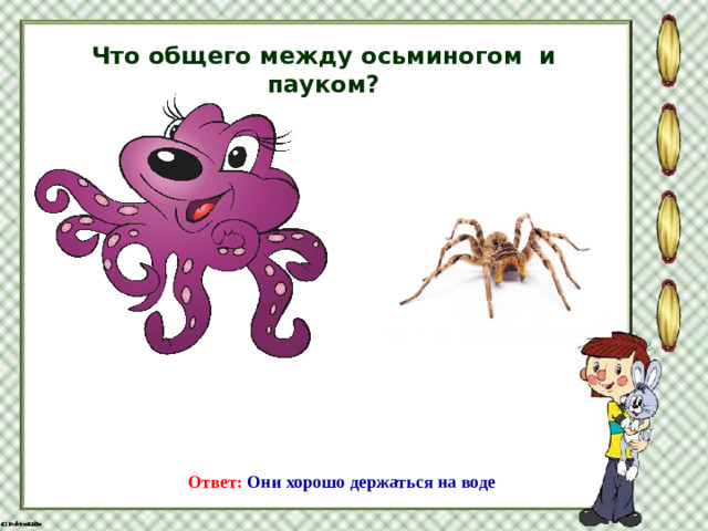 Что общего между осьминогом и пауком? Ответ: Они хорошо держаться на воде