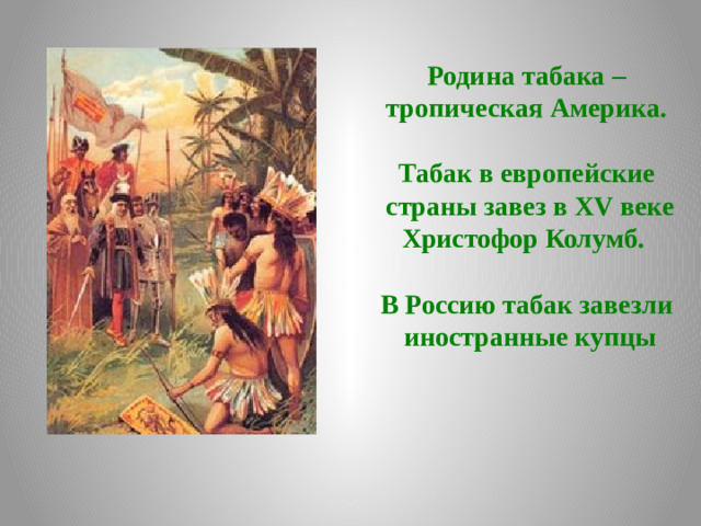 Родина табака – тропическая Америка.  Табак в европейские  страны завез в XV веке Христофор Колумб.  В Россию табак завезли  иностранные купцы