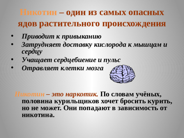 Никотин  – один из самых опасных ядов растительного происхождения Приводит к привыканию Затрудняет доставку кислорода к мышцам и сердцу Учащает сердцебиение и пульс Отравляет клетки мозга    Никотин  – это наркотик. По словам учёных, половина курильщиков хочет бросить курить, но не может. Они попадают в зависимость от никотина.