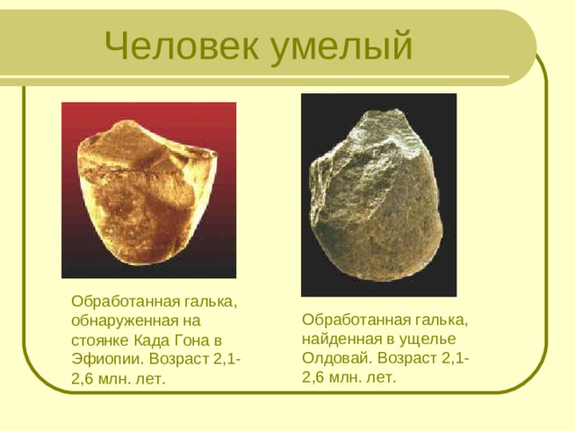 Человек умелый Обработанная галька, обнаруженная на стоянке Када Гона в Эфиопии. Возраст 2,1-2,6 млн. лет. Обработанная галька, найденная в ущелье Олдовай. Возраст 2,1-2,6 млн. лет.