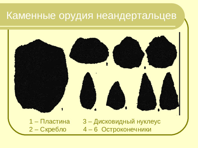 Каменные орудия неандертальцев 1 – Пластина 3 – Дисковидный нуклеус 2 – Скребло 4 – 6 Остроконечники