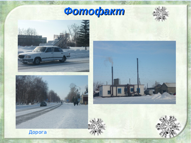 Фотофакт  Коте Дорога